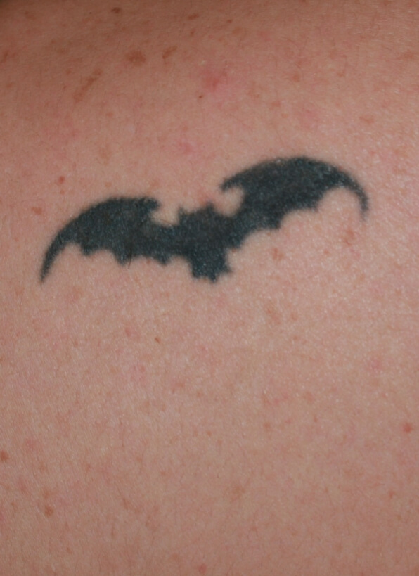 landing introduction